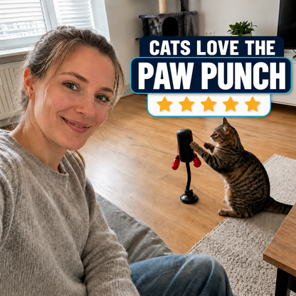 Interactive Cat Boxing Toy – Suction Cup Self-Play Punching Toy for Cats